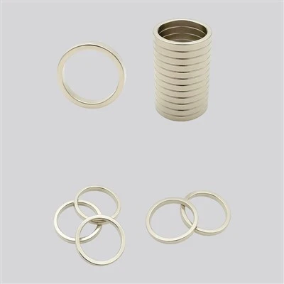 Magnet Cincin Gaya Koersif Tinggi
